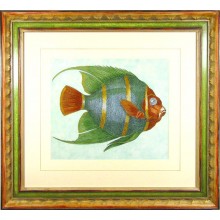 Fish & Aquatic Life Art